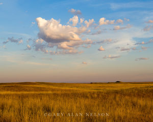 Prairie on the Badlands