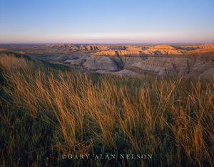 Prairie Grass over the Badlands