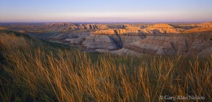 Prairie Grasses and the Badlands