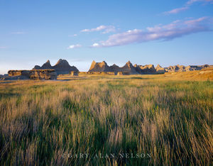 Bluestem in the Badlands