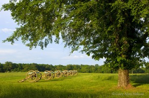 Canons in the Peach Orchard