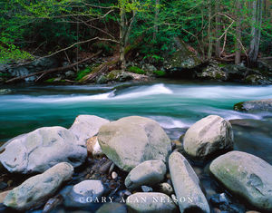 Little Pigeon RIver