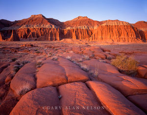 Cathedral Valley