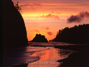 Pacific Coast at Sunset