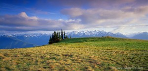 Prairie and Hurricane Ridge