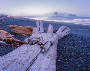 Log and James Island Groooup