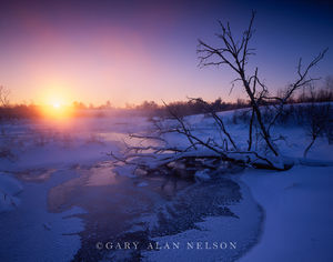 Dawn over Spirit Creek