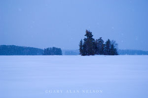 Snow Falling on Snowbank Lake