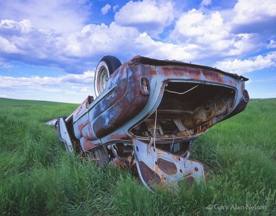 Piebald Buick print