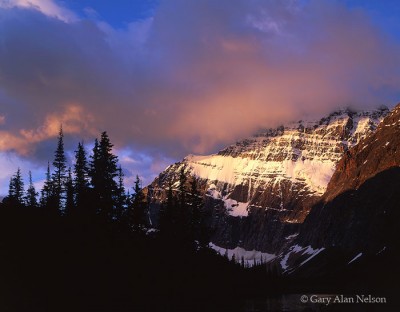 Morning Light on Mount Edith Cavell print