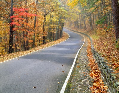 Autumn Byway print