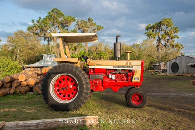 1970 International 1026 Gold Demonstrator