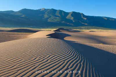 Sand Dunes and Sangre De Cristo Mountain print