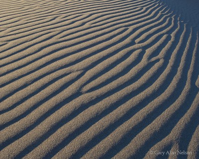 Rippled Sand print