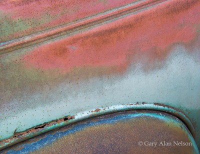 Darwinian Roadkill print