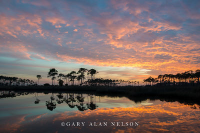 Reflections at Dusk