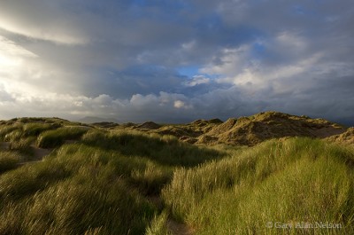 Dunes, Grasses and Clouds print