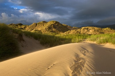 Sand Dunes and Clouds print