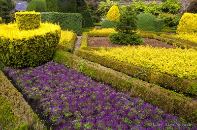 Levens hall Gardens print