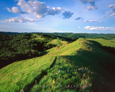 The Loess Hills print