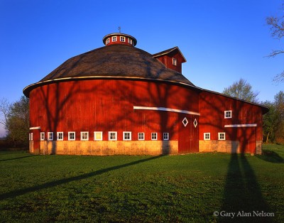 Red Barn and Tree Shadows print