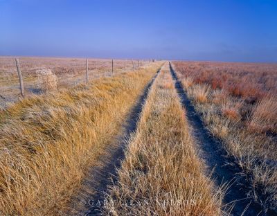Path on Prairie print