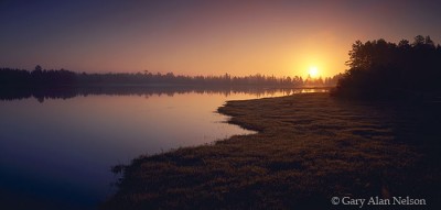 Morning Light at Seney print