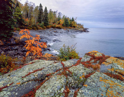 Lichens along Lake Superior print
