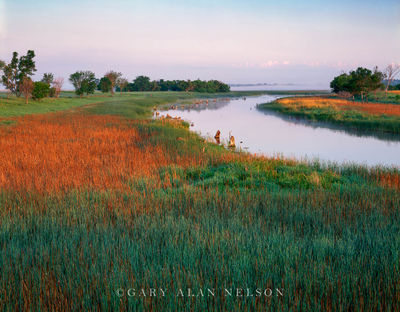 Minnesota River Headwaters print