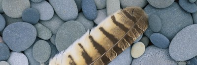 Owl Feather and Stones print