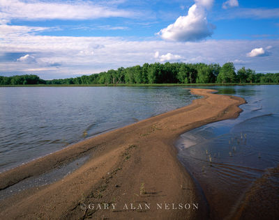 Sandbar on the Mississippi print