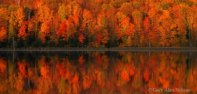 Wall of Color print