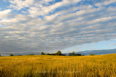 Prairie and Clouds print