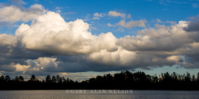 Silhouetted Shoreline of Moon Lake print