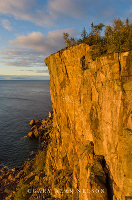 Palisade Head print