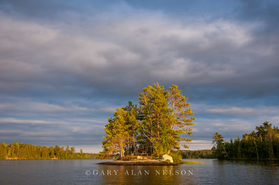 Island on Vermilion Lake print