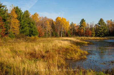 Pond in Chippewa Ntl. Forest print
