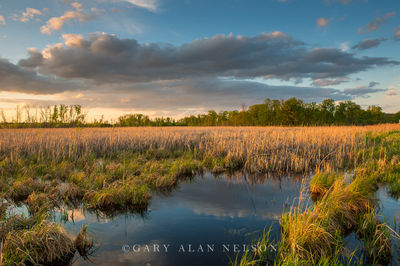 Clouds over Cattail Marsh