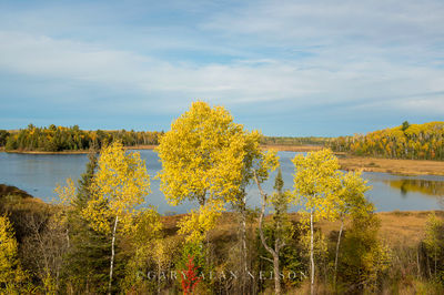MN-15-242-NF print