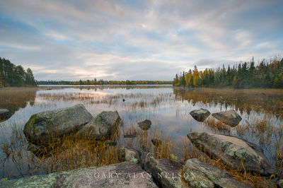 MN-15-264-NF print