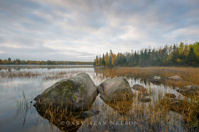 MN-15-267-NF print
