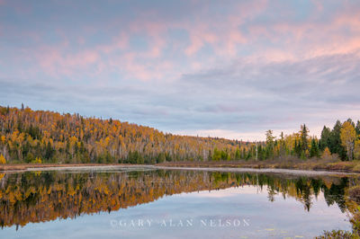 MN-15-305-SP print