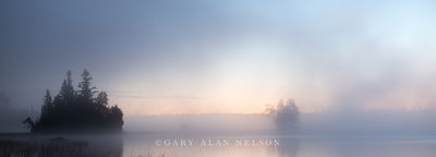 MN-15-72-NF print