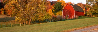 Red Barn in Autumn print