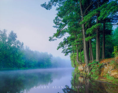 MN-93-76-SP print