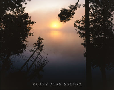 Morning Fog over Coon Lake print