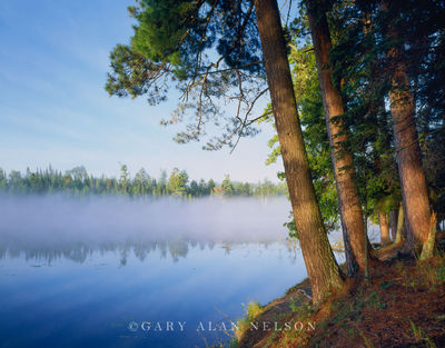 Coon Lake print
