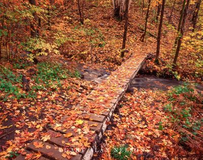 Superior Hiking Trail print