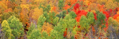 Wall of Color print