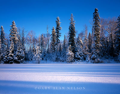 Morning Light on Boulder Lake print